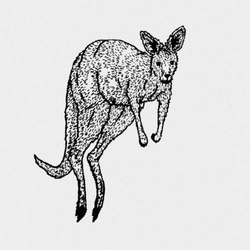 Ollie Schaich Studio Nicholas Building Book Kangaroo Paper